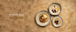 Mohenjo daro collections