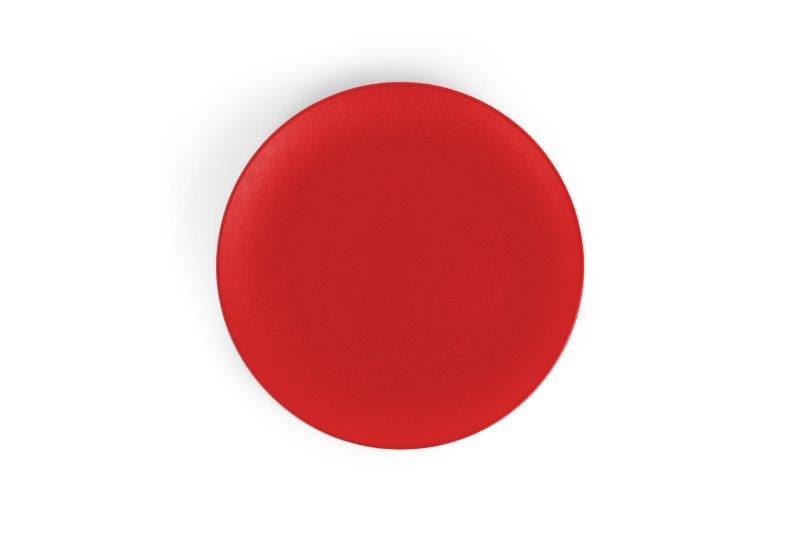 AVCARN408011024_PLATE ROUND RIMLESS-24 CM-RED DAZZLE-ARN-A - Ariane ...