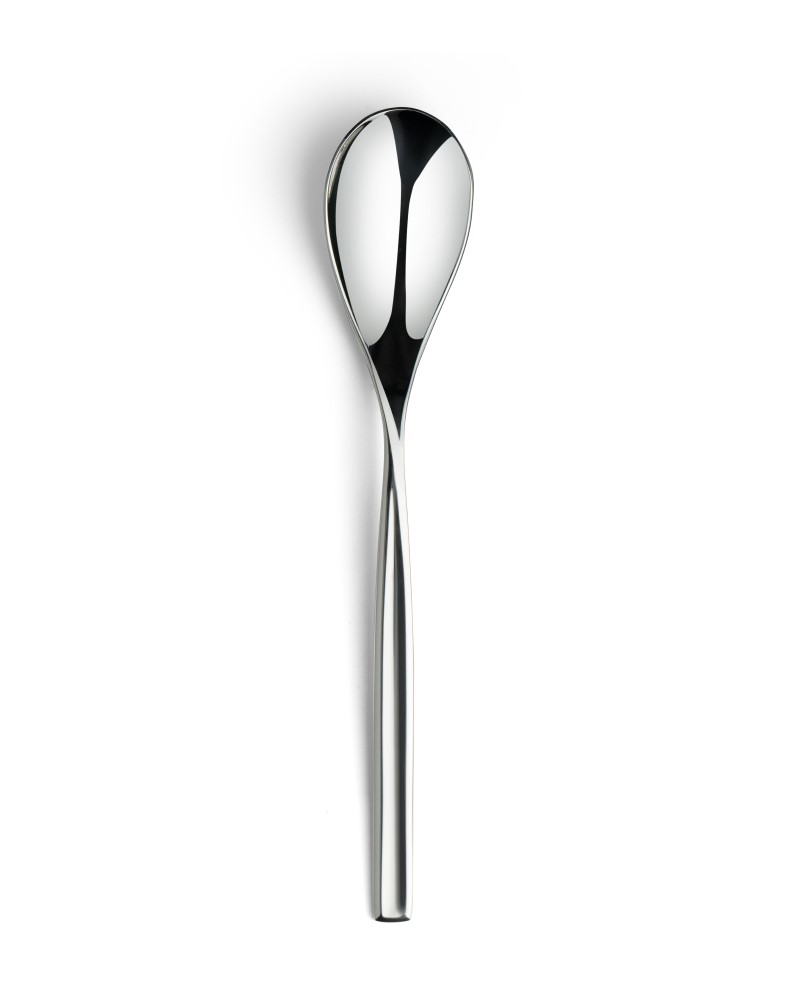 Table Spoon _ Dinner Spoon-ALIC130ARN104